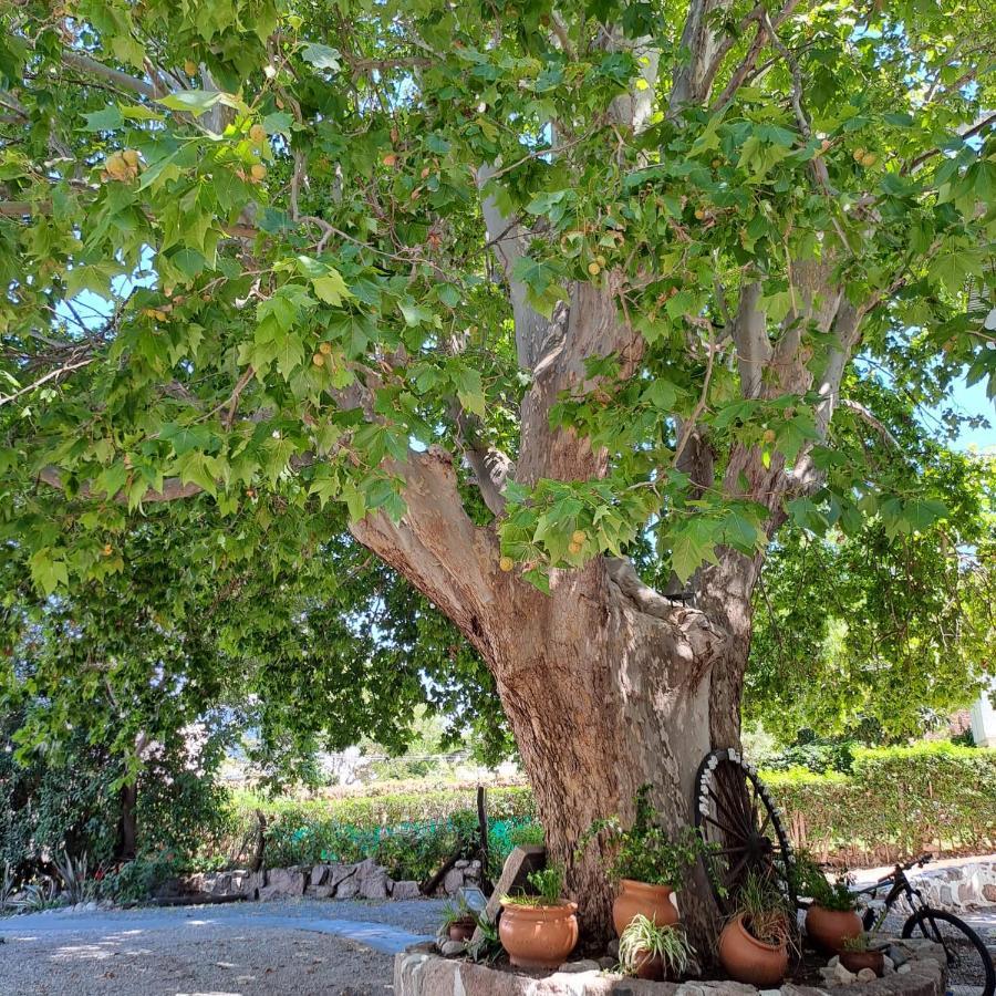 Posada Del Arbol Capilla del Monte Ngoại thất bức ảnh